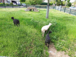 20190531_110154