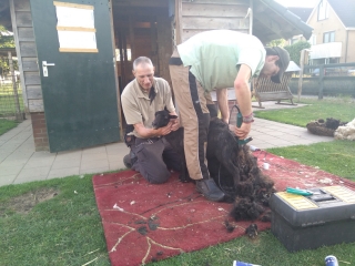 IMG-20190528-WA0001