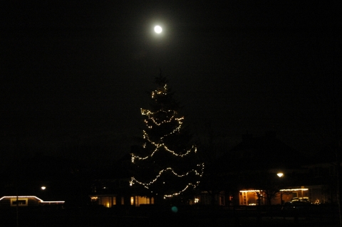 kerstboom