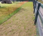 nieuw-gras
