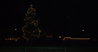 1412 kerstboom 3